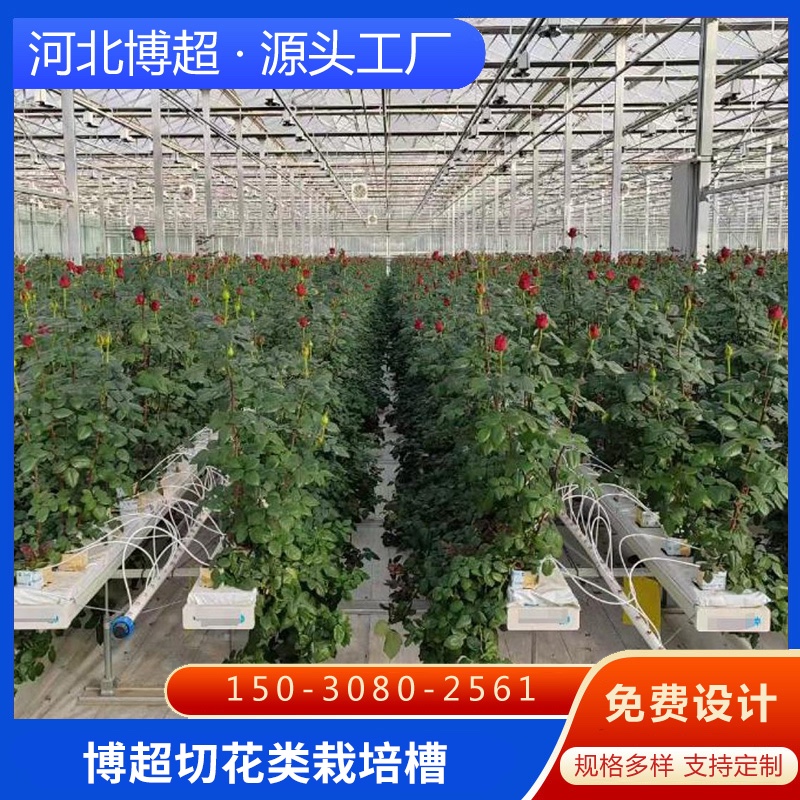 錫林郭勒切花類栽培槽